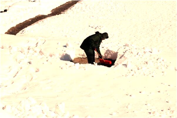 夢見準備退學有什麼寓意嗎_周公解夢官網