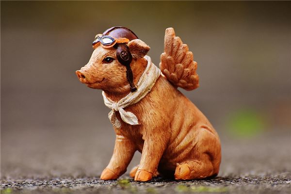 1995年屬豬的哪個時辰命好_十二生肖