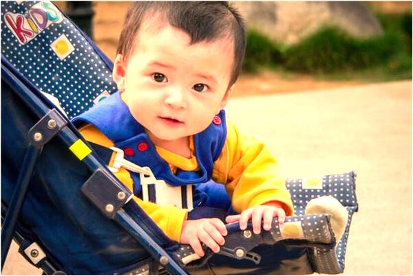 夢到一隻藏敖預示了什麼_周公解夢官網