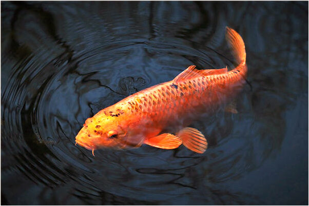 夢見上墳燒紙錢會怎么樣_周公解夢官網