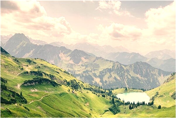 夢見買了一隻貓是凶兆還是吉兆_周公解夢官網