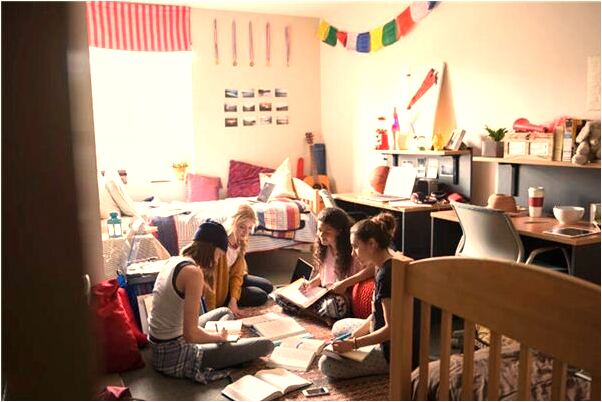 夢見蛋孵出的東西被人吃了會怎么樣_周公解夢官網