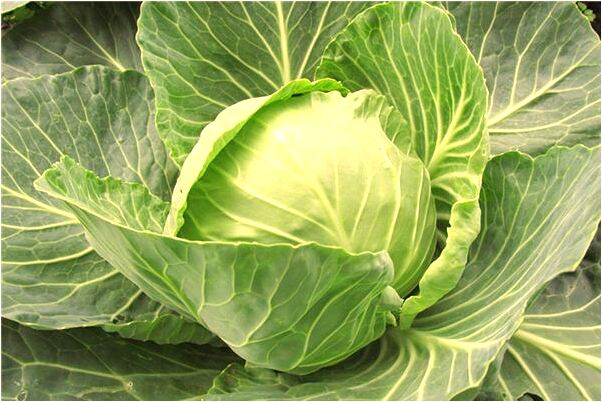 夢到了結婚的人嫁人了有什麼說法_周公解夢官網