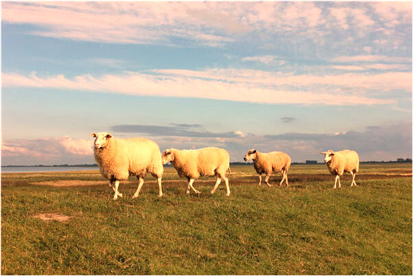 夢見和老公和好如初有什麼寓意嗎？_周公解夢官網