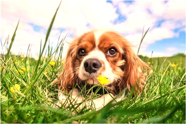 夢見房間被水沖了什麼寓意_周公解夢官網