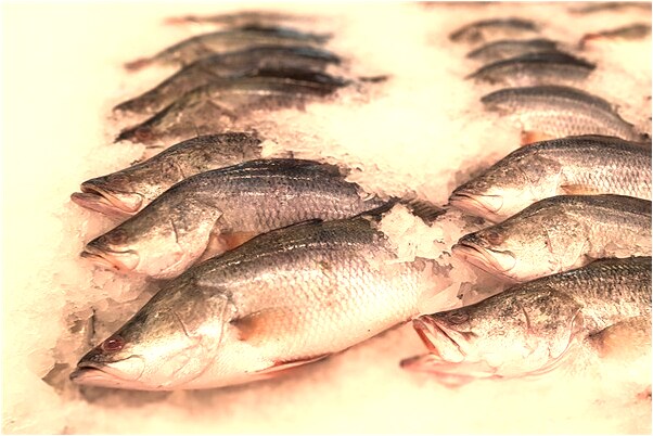 夢到大便濺到自己臉上意味著什麼_周公解夢官網