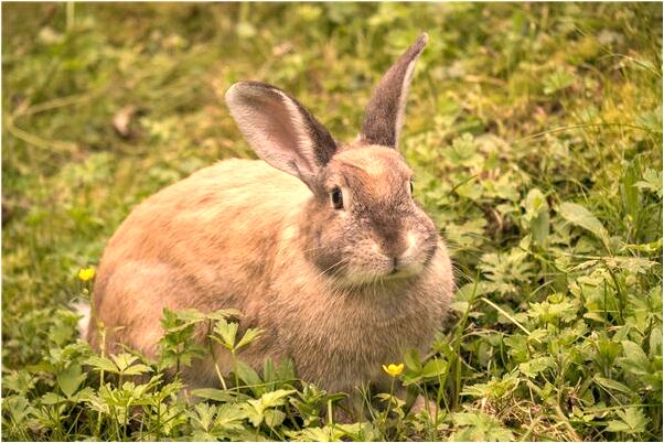 夢到了兒子頭被我扭棹是好的徵兆嗎_周公解夢官網