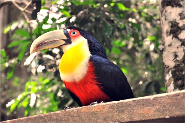 夢到了鍋爐火要滅是啥意思_周公解夢官網