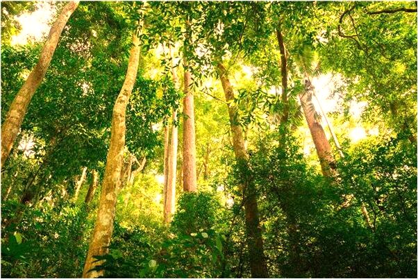 夢到了吃死人的飯啥意思_周公解夢官網