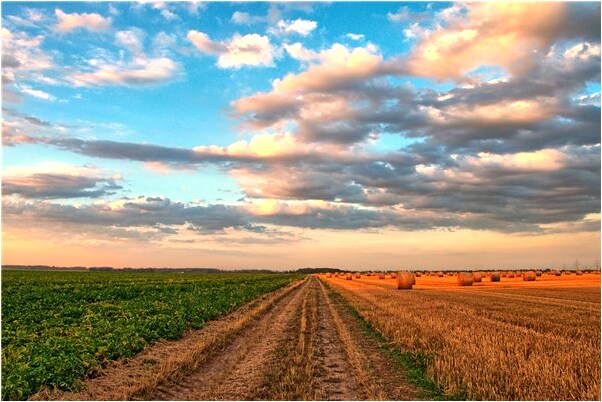 夢見金子偷了失而復得意味著什麼_周公解夢官網