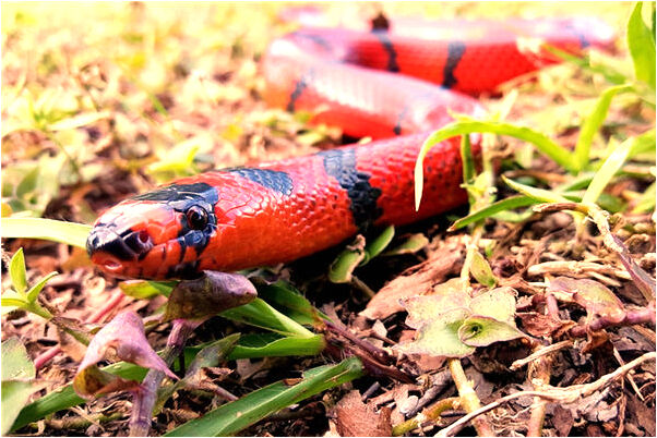 夢到了兒子中大獎而後破財是什麼預兆？_周公解夢官網