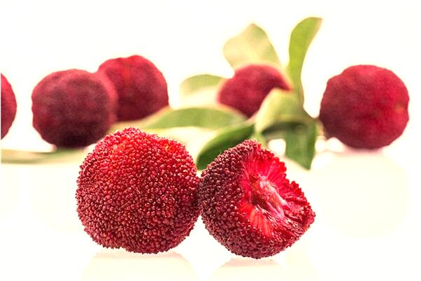 夢到了女人批著衣服穿拖鞋是什麼預兆_周公解夢官網