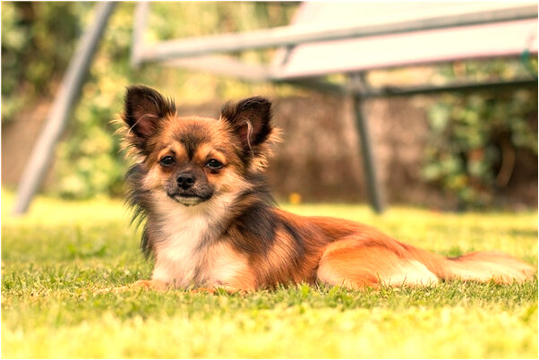夢到乾兒的房屋倒塌預示著什麼_周公解夢官網