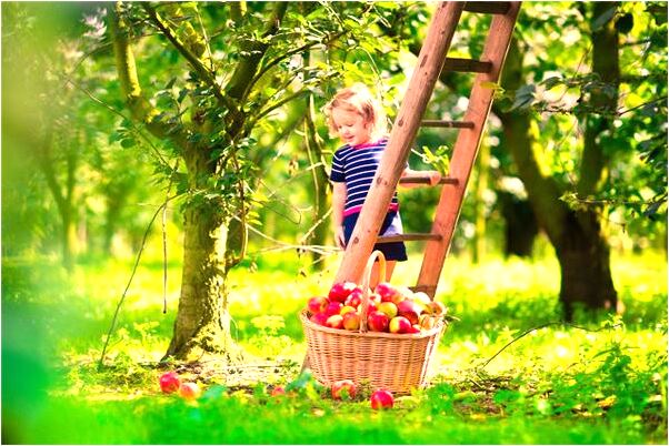 夢到了老婆掉下山預示什麼_周公解夢官網