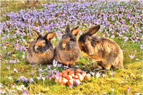 夢到別人送了油糕吃了一口是怎么回事_周公解夢官網