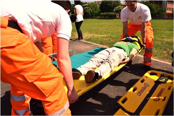 夢見家族生長成對的靈芝預示著什麼_周公解夢官網