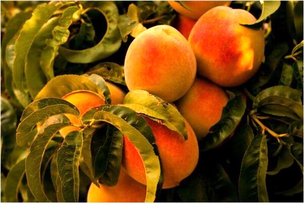 夢到了我抽了同學們組織的抽籤什麼預兆_周公解夢官網