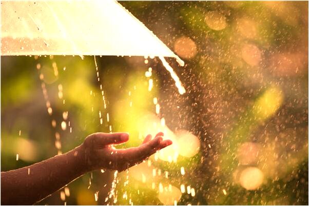 夢到了莽蛇被我救了是什麼意思_周公解夢官網