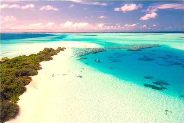 夢到開車在路上有什麼寓意嗎？_周公解夢官網