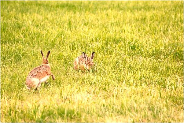 夢見周圍的人都死了代表著什麼_周公解夢官網