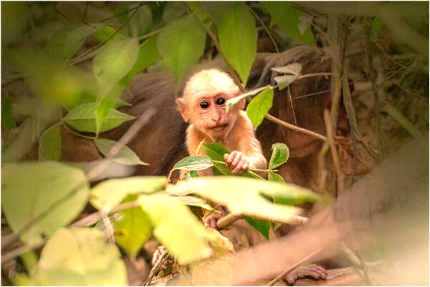 夢到了以前的女性朋友預示什麼_周公解夢官網