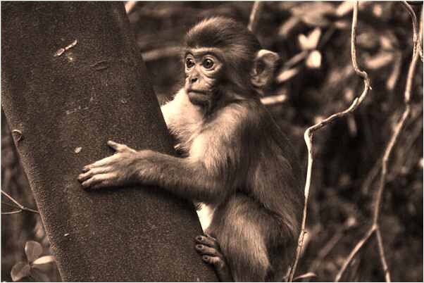 夢到兩對夫妻交換老婆什麼寓意_周公解夢官網