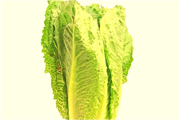 夢見跟心上人旅遊遇到老同學預示著什麼_周公解夢官網