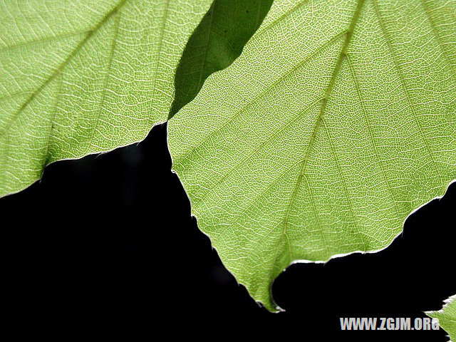 夢見吃爆米花_周公解夢夢到吃爆米花是什麼意思_做夢夢見吃爆米花好不好_周公解夢官網