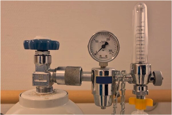 夢見在郊外媽媽把蛇打死了會是什麼預兆_周公解夢官網