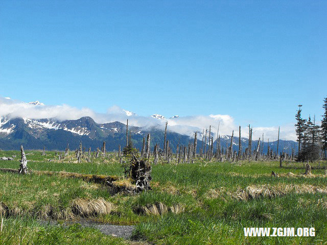 夢見用水沖洗家裡_周公解夢夢到用水沖洗家裡是什麼意思_做夢夢見用水沖洗家裡好不好_周公解夢官網