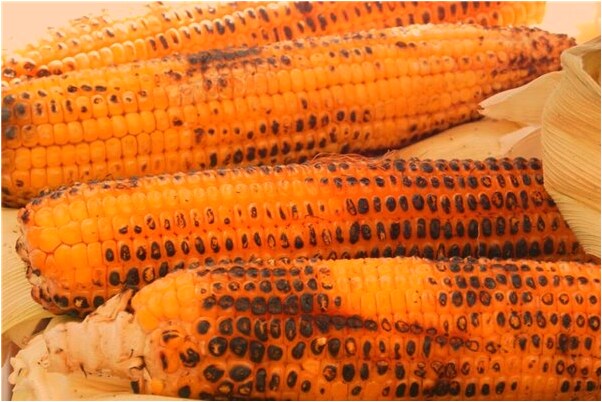 夢見龍受於土嗎是什麼徵兆_周公解夢官網