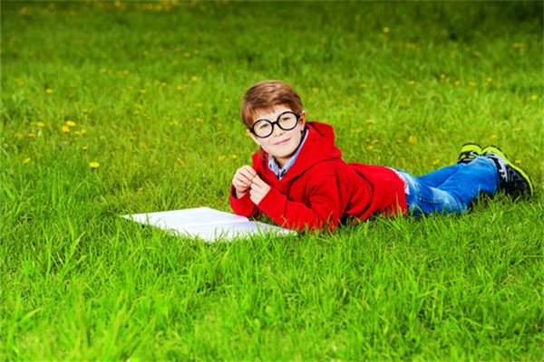 2009年屬牛一生學業如何_十二生肖