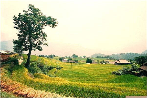 夢見旅遊中沒有車有什麼意思嗎_周公解夢官網