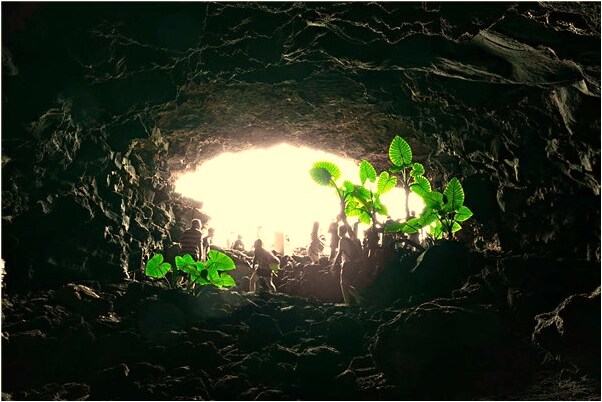 夢到去收木材有什麼寓意嗎_周公解夢官網