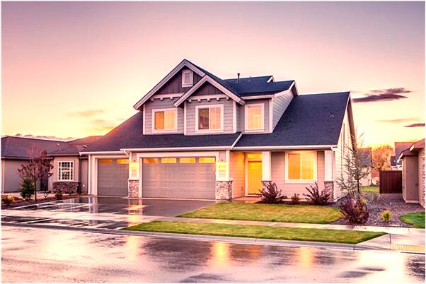 夢到夢棗樹上面長楊樹有什麼意思_周公解夢官網