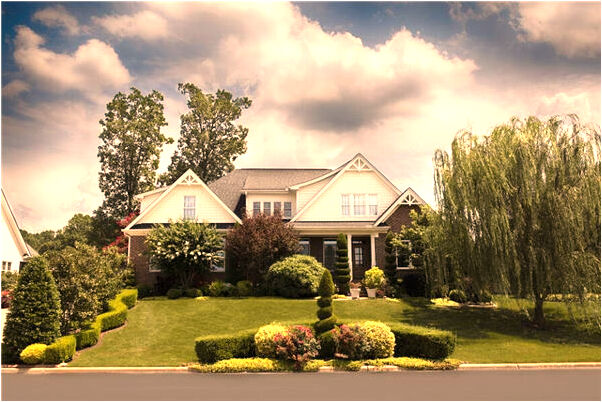 夢到了家裡好多鳥是什麼徵兆_周公解夢官網