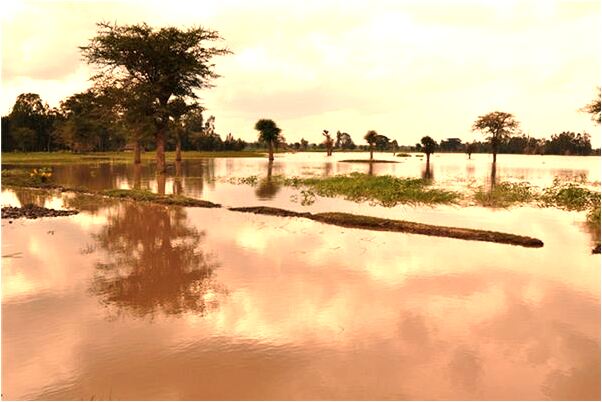 夢到老婆和鄰居結婚有什麼意思嗎_周公解夢官網