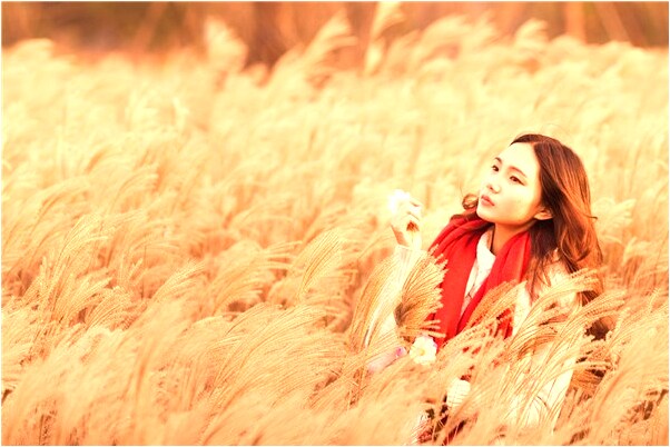 夢到兩隻公雞帶一群母進屋怎么回事_周公解夢官網