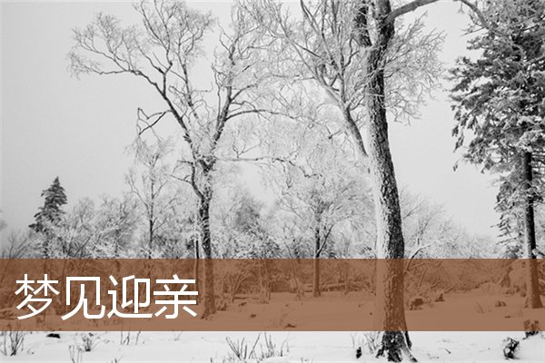 夢見迎親_周公解夢