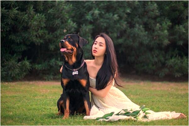 夢到父親墳墓邊有蛇是什麼兆頭_周公解夢官網