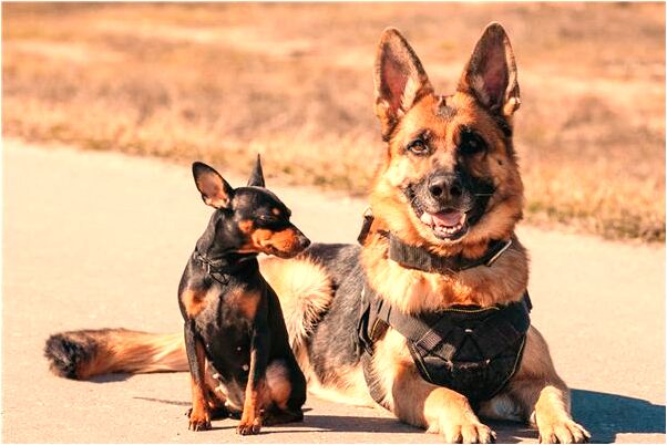 夢到了喜歡的人跟自己一起有什麼徵兆_周公解夢官網