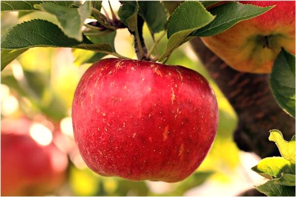 夢見初戀情人在樓上會有什麼預兆_周公解夢官網