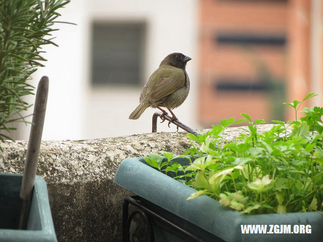 夢見女朋友突然不見_周公解夢夢到女朋友突然不見是什麼意思_做夢夢見女朋友突然不見好不好_周公解夢官網