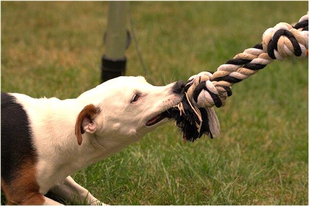 夢到健在母親去世預示了什麼_周公解夢官網