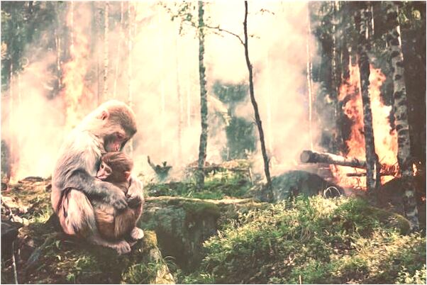 夢到了坐電梯停不下來一直在是好事還是壞事_周公解夢官網