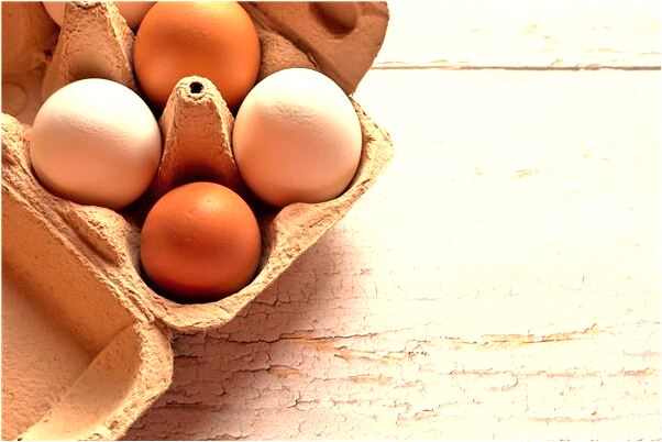 夢到賣一隻很漂亮的雞是什麼意思_周公解夢官網