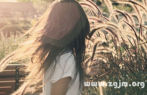 12星座的愛之冰封_十二星座