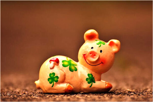 夢見豬在吃麥苗好不好_周公解夢官網