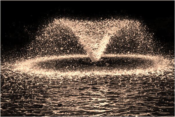 夢見天上看見好多的星星意味著什麼_周公解夢官網