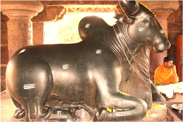 夢到了屬蛇人運城會是什麼預兆_周公解夢官網